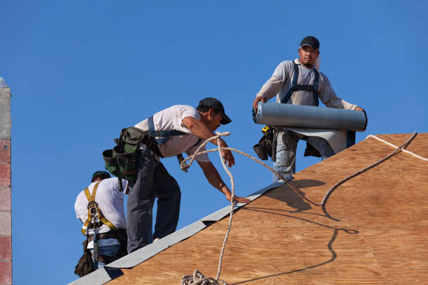 Best Roof Gutter Cleaning  in Raeford, NC